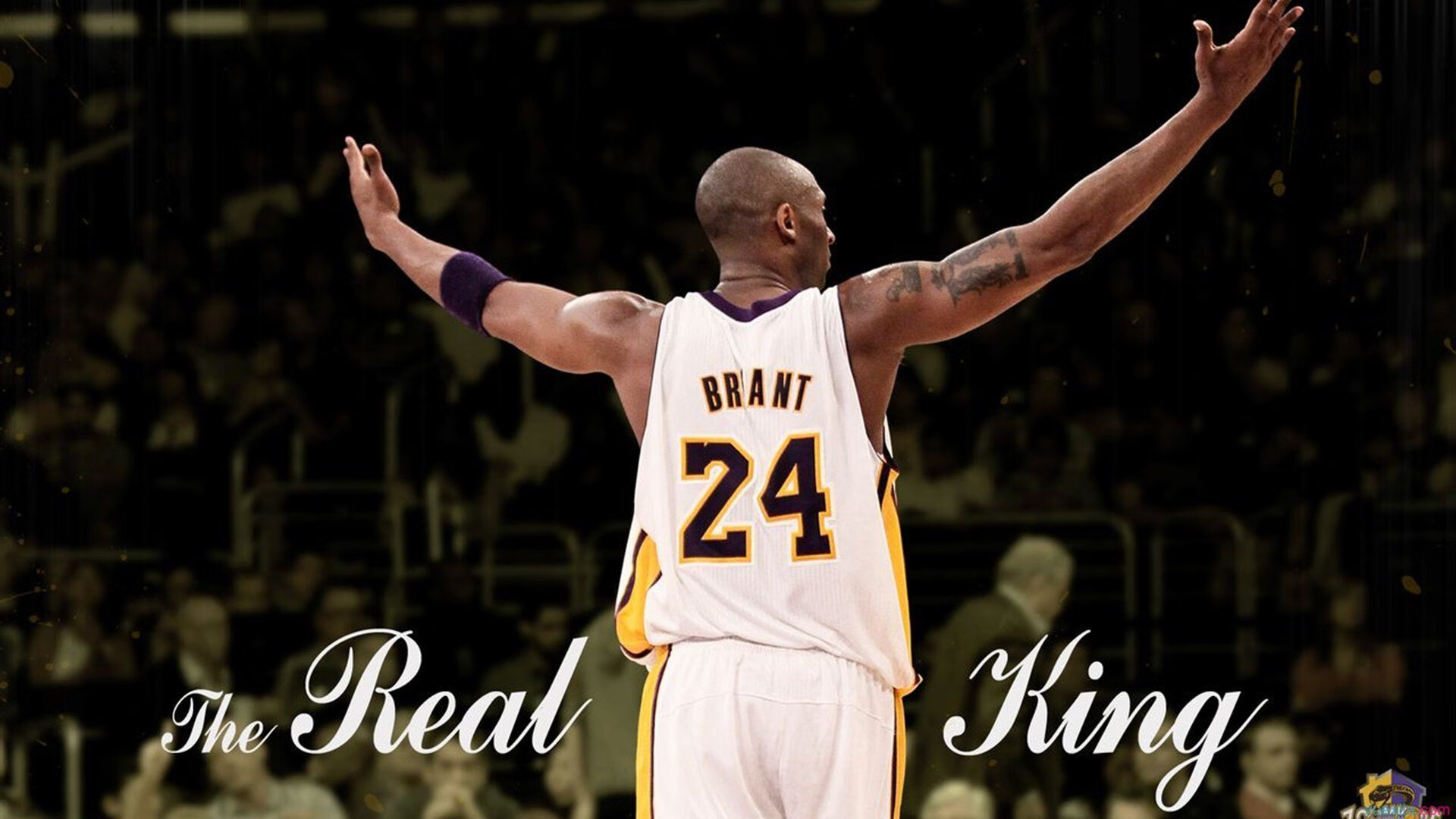 原州东浦新世代防守强度逐步加强，东原地产新蒲